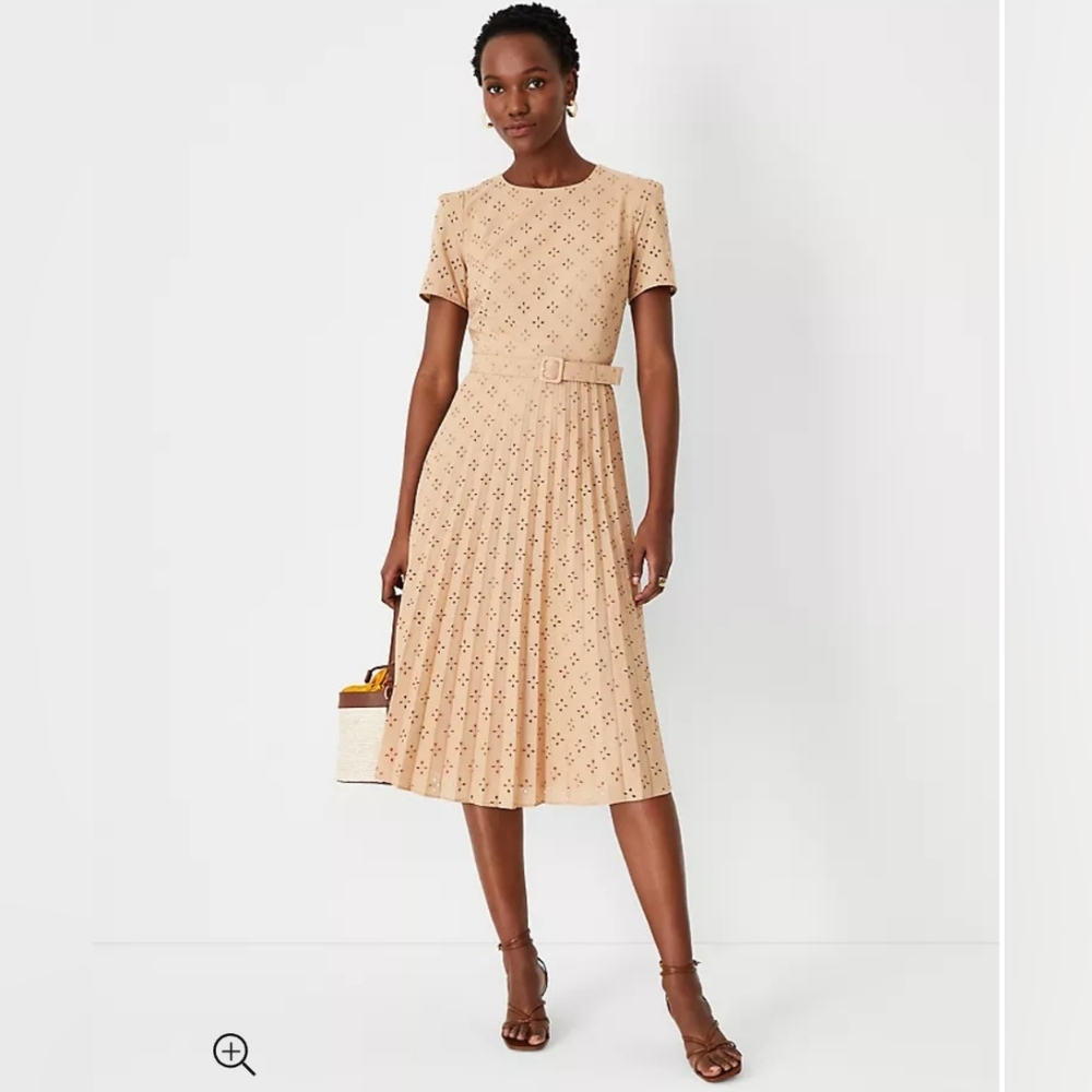 Ann Taylor Dress